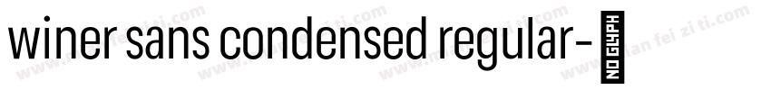 winer sans condensed regular字体转换